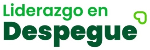 Liderazgo en Despegue